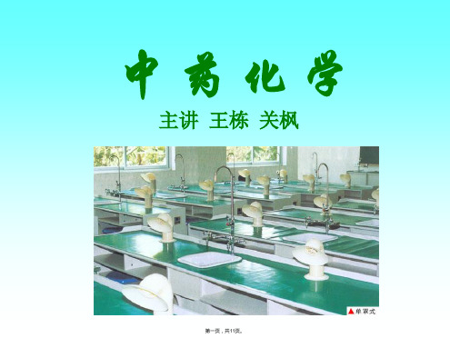 中药化学PPT(与“中药”有关的文档共11张)