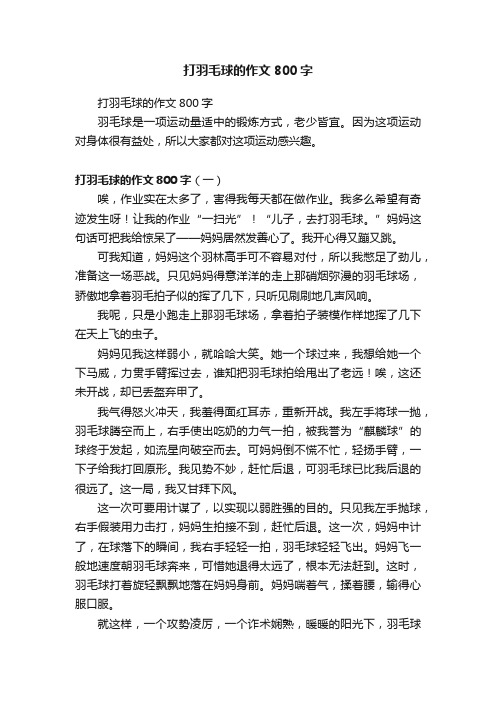 打羽毛球的作文800字