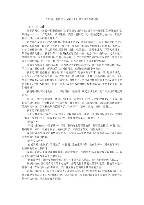 六年级上册语文《少年闰土》课文原文及练习题