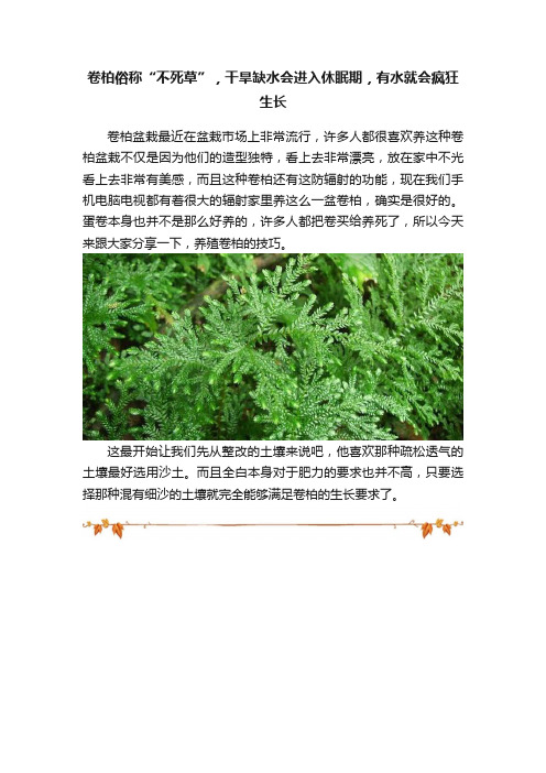 卷柏俗称“不死草”，干旱缺水会进入休眠期，有水就会疯狂生长