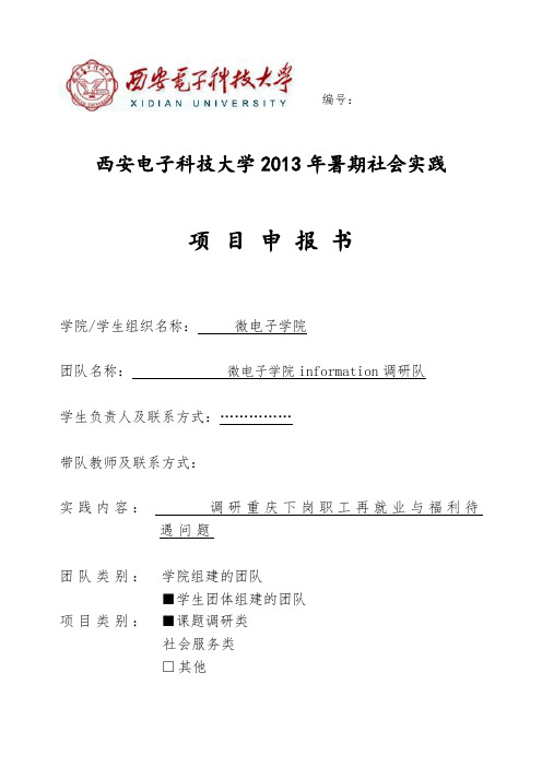 2013年暑期社会实践项目申报表