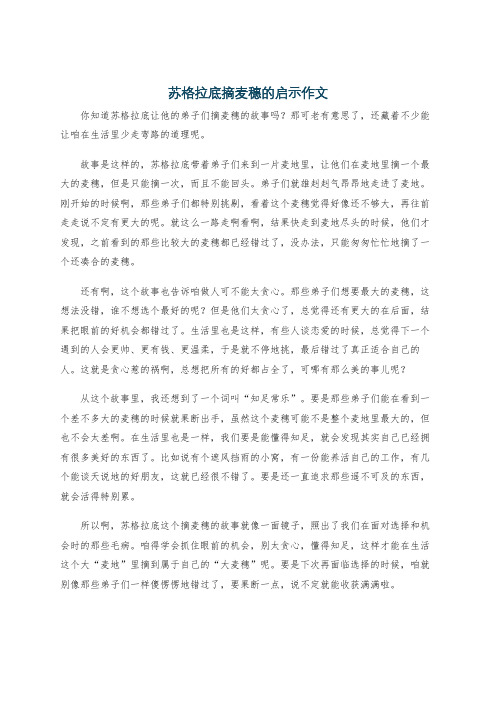 苏格拉底摘麦穗的启示作文