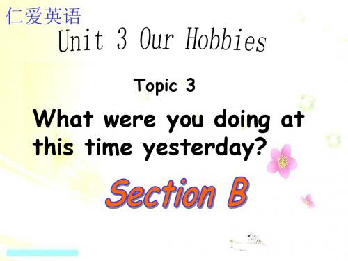 仁爱英语八年级上册Unit 3Topic 3section B(共22张PPT)