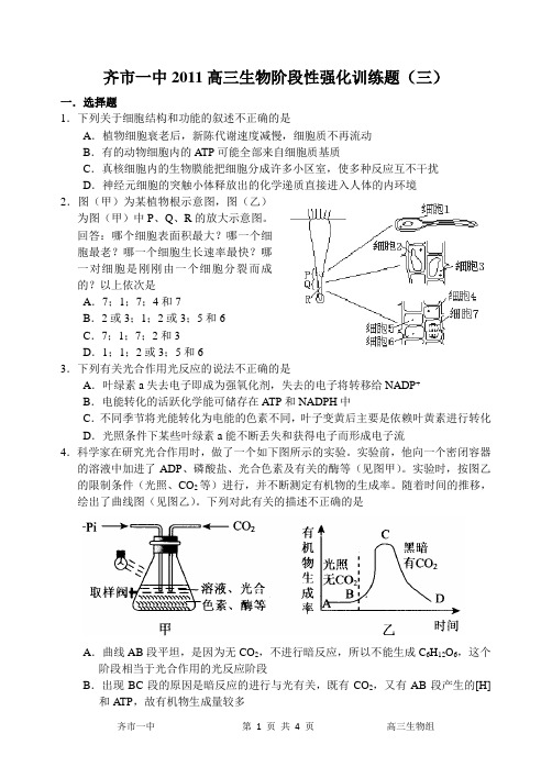 齐市一中2011高三生物强化训练题(三)