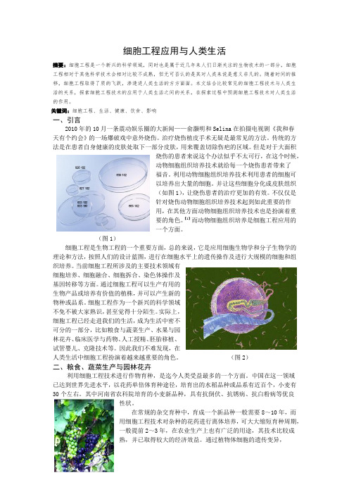 细胞工程应用与人类生活