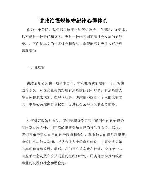 讲政治懂规矩守纪律心得体会