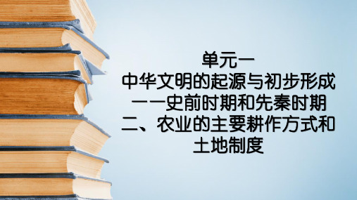 高考一轮通史复习：农业的主要耕作方式和土地制度