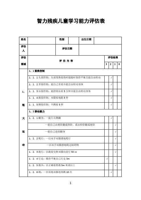 智力残疾儿童学习能力评估表格模板 (2)