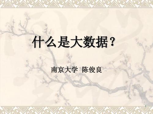 什么是大数据？