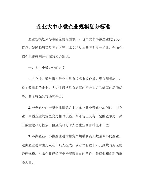 企业大中小微企业规模划分标准