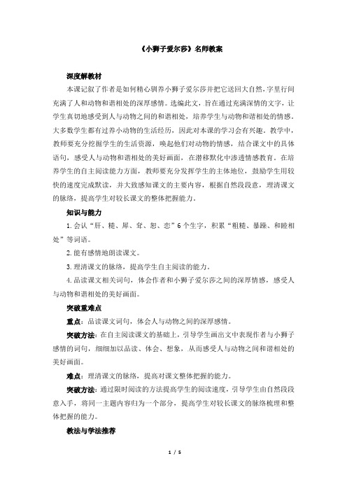 《小狮子爱尔莎》教案