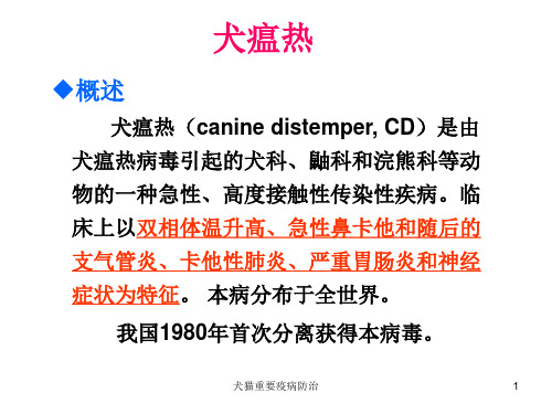 犬猫重要疫病防治课件