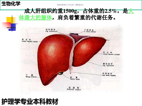 肝胆生物化学