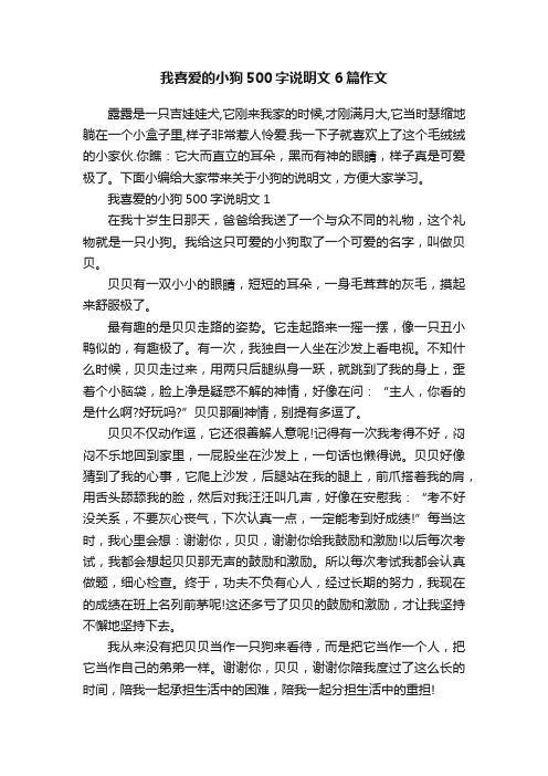 我喜爱的小狗500字说明文6篇作文