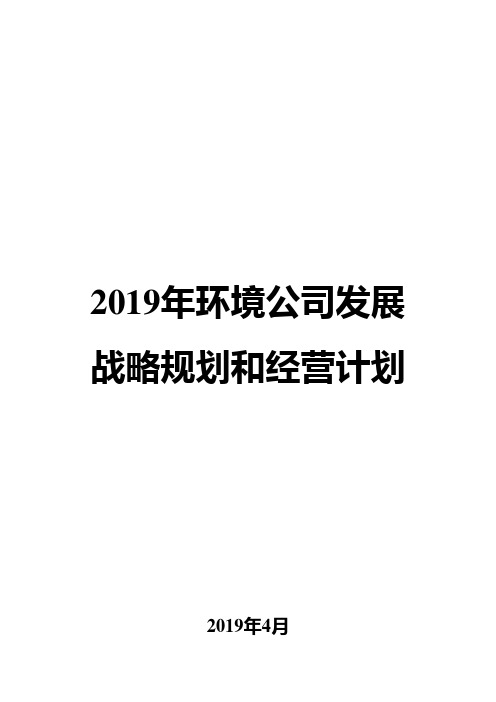 2019年环境公司发展战略规划和经营计划