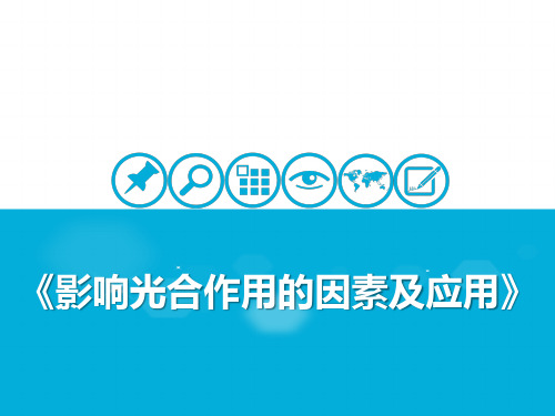 呼吸作用与光合作用 [5]影响光合作用的因素及应用 课件 2021届高考一轮复习生物(共21张PPT)
