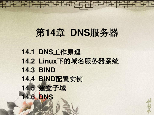 第14章DNS服务器PPT课件