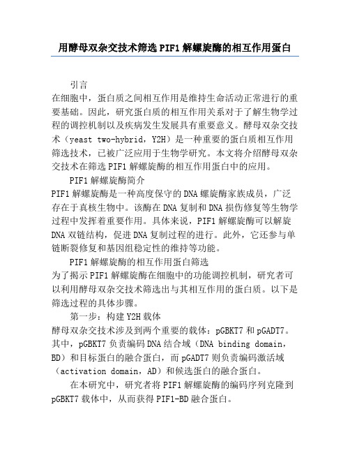 用酵母双杂交技术筛选PIF1解螺旋酶的相互作用蛋白