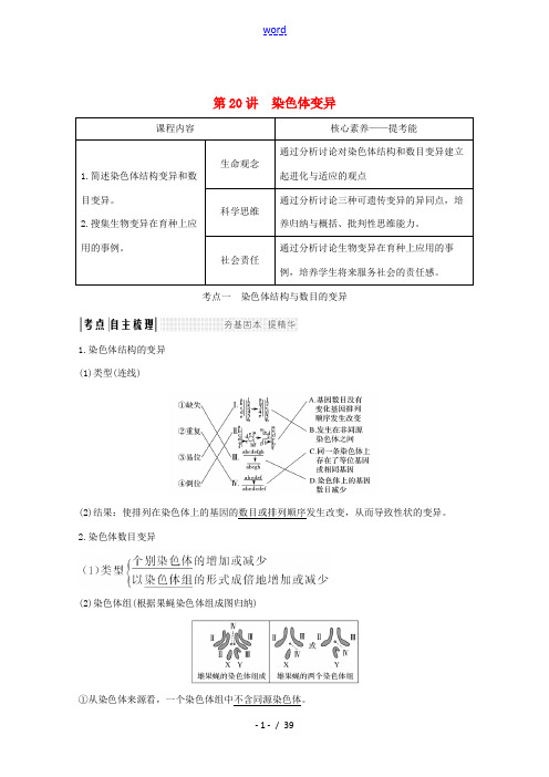 高考生物总复习 第20讲 染色体变异教案-人教版高三全册生物教案