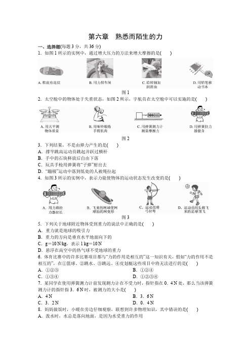 2022年沪科版八上物理试题第六章熟悉而陌生的力试题