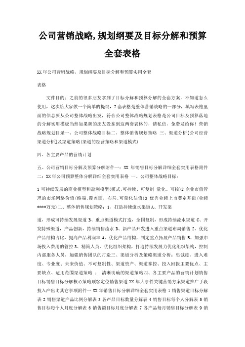 公司营销战略,规划纲要及目标分解和预算全套表格