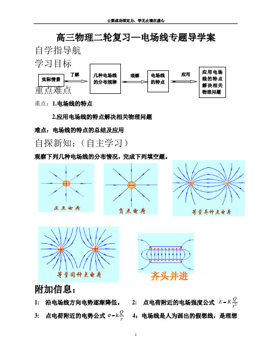 电场线专题导学案