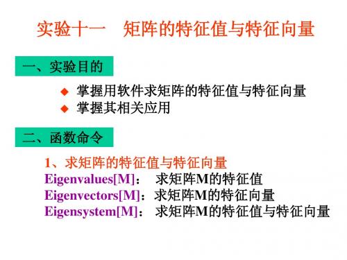 实验十一矩阵的特征值与特征向量