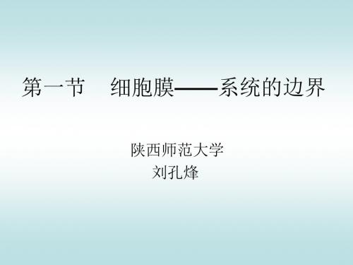 【高中生物】细胞膜——系统的边界ppt25