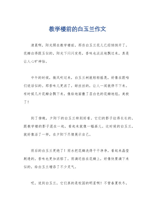 教学楼前的白玉兰作文