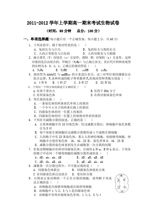 生物必修2期末试卷(含答案).doc