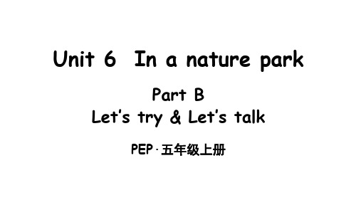 小学英语五年级上册(人教版PEP)Unit 6 In a nature park Part B 第4课时课件