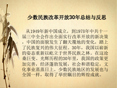 少数民族改革开放30年总结与反思