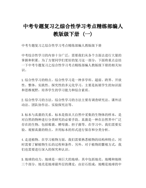 中考专题复习之综合性学习考点精练部编人教版级下册 (一)