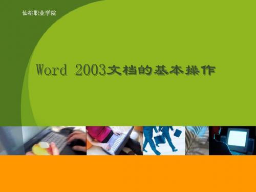 Word2003文档的基本操作