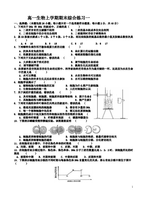 高一生物上学期期末综合练习