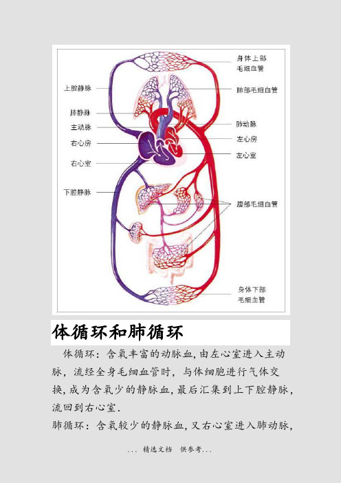 体循环和肺循环(干货)