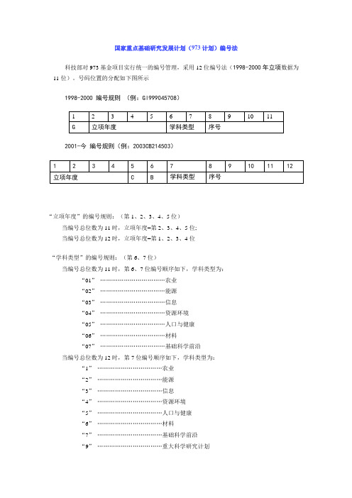 973_项目编号_总结(o)