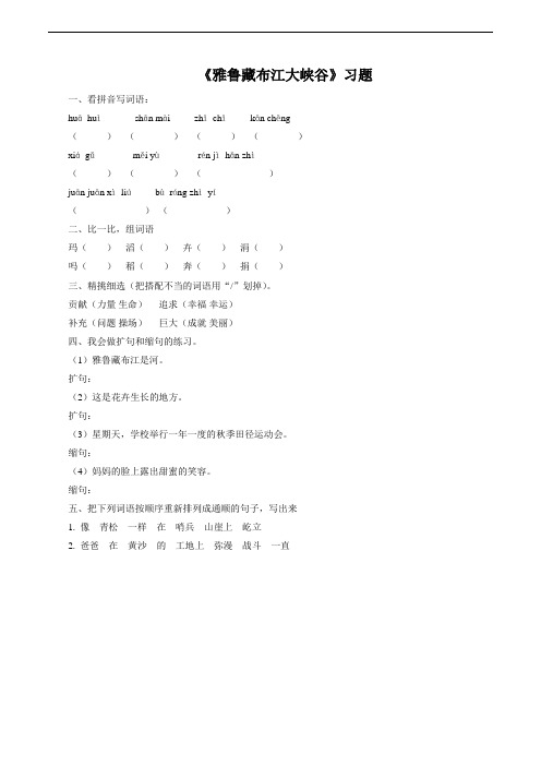 2《雅鲁藏布大峡谷》同步练习3