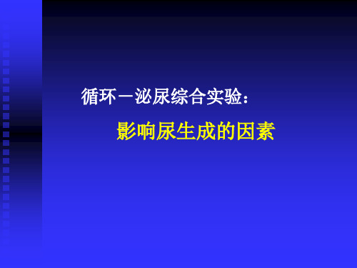 动物生理学实验 泌尿实验(完整)