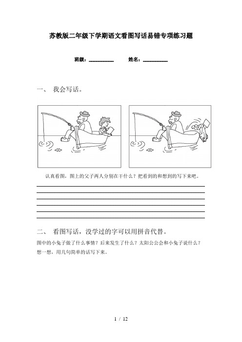 苏教版二年级下学期语文看图写话易错专项练习题