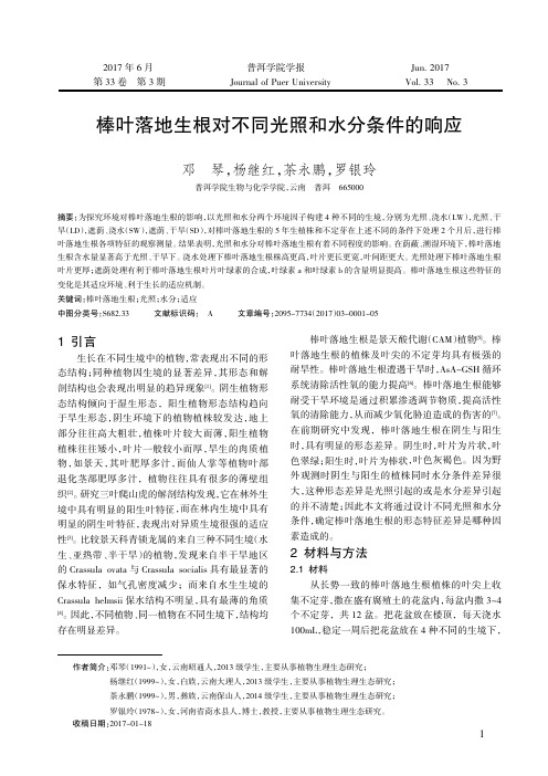棒叶落地生根对不同光照和水分条件的响应