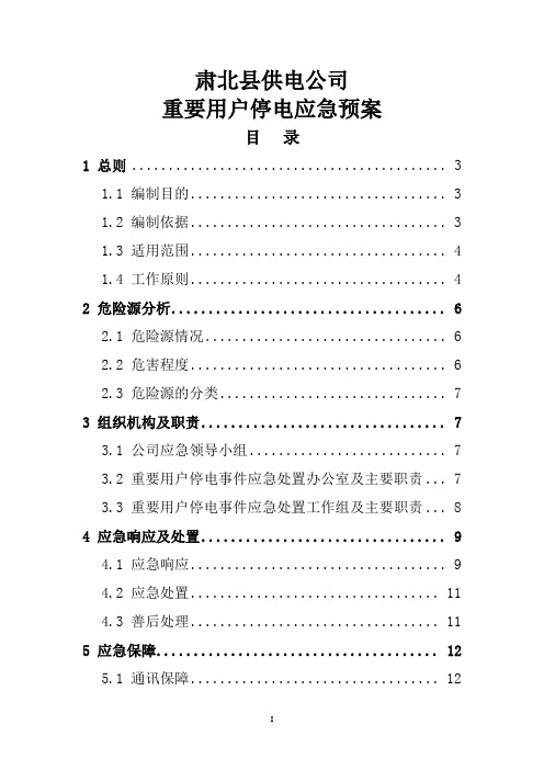 重要用户停电应急预案