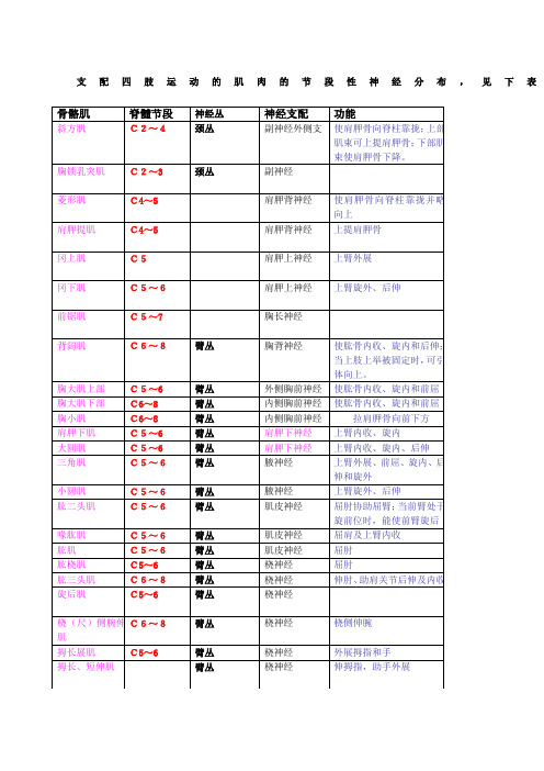 肢肌肉神经支配