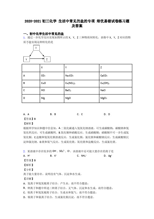 2020-2021初三化学 生活中常见的盐的专项 培优易错试卷练习题及答案