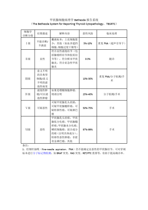 甲状腺细胞病理学报告系统