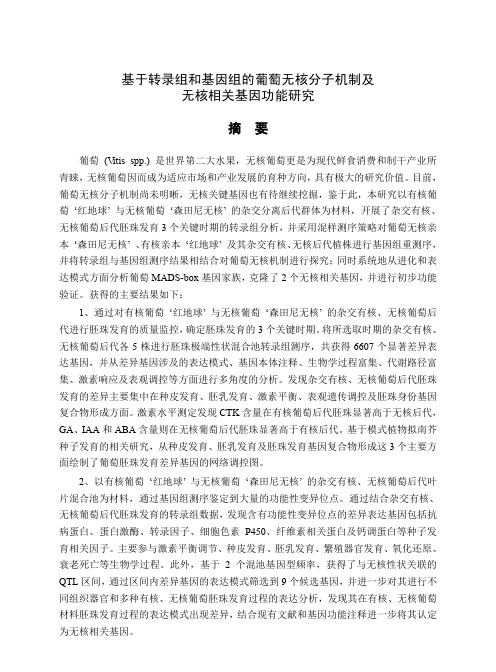 基于转录组和基因组的葡萄无核分子机制及无核相关基因功能研究