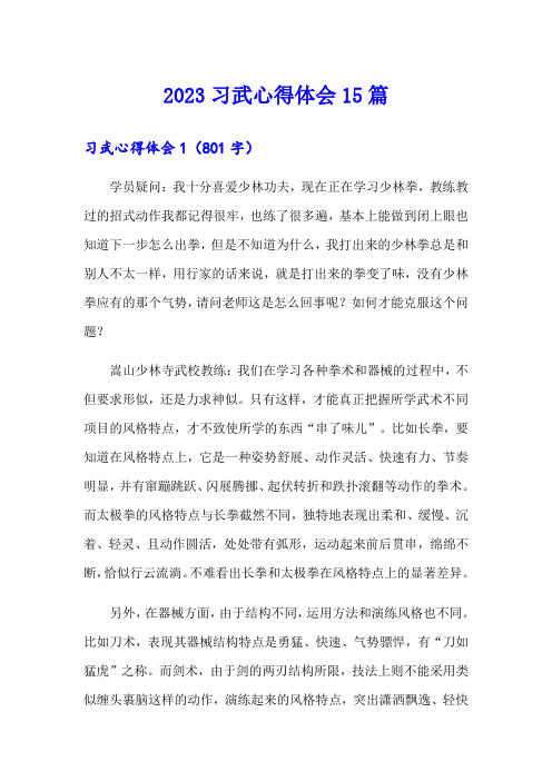 2023习武心得体会15篇