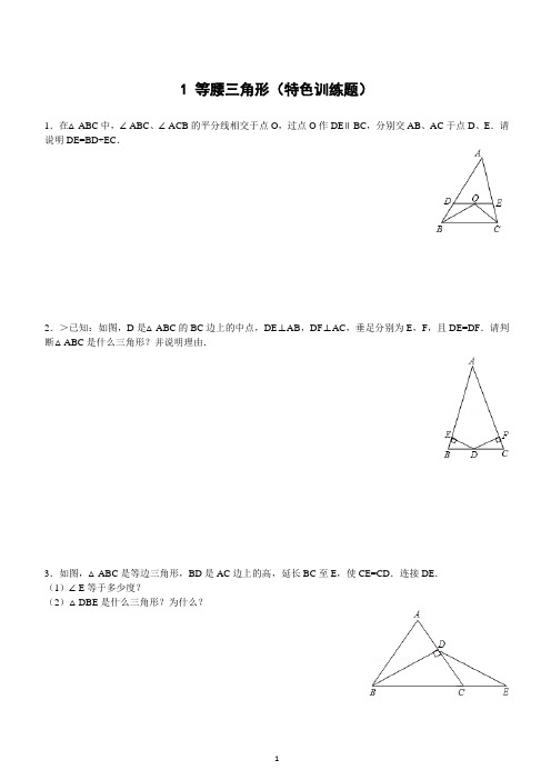 三角形的证明 特色训练题