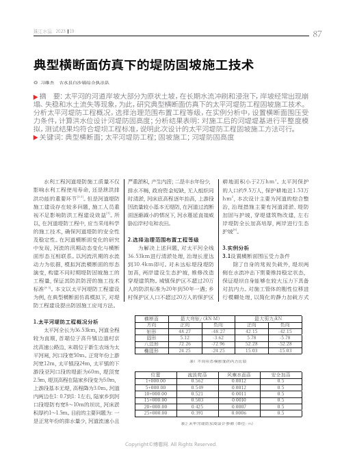 典型横断面仿真下的堤防固坡施工技术