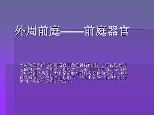 前庭系统专业医学知识宣讲课件